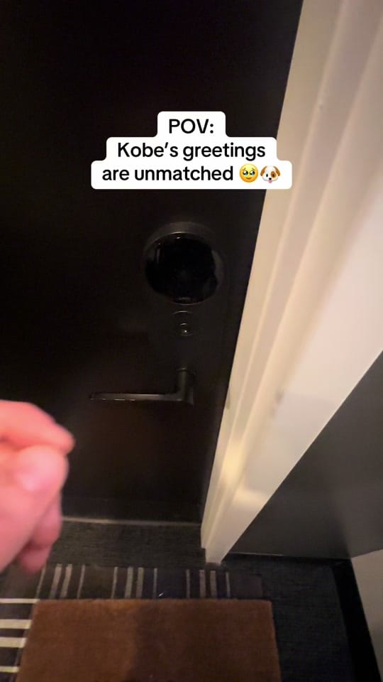 Post 4 by Randy Silver on TikTok (video)