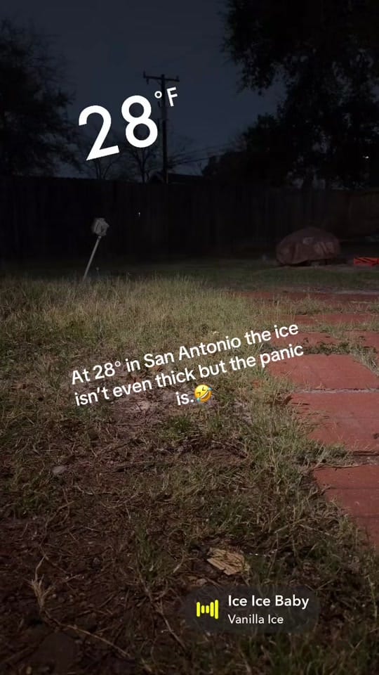 Post 5 by Lindsay Saenz on TikTok (video)