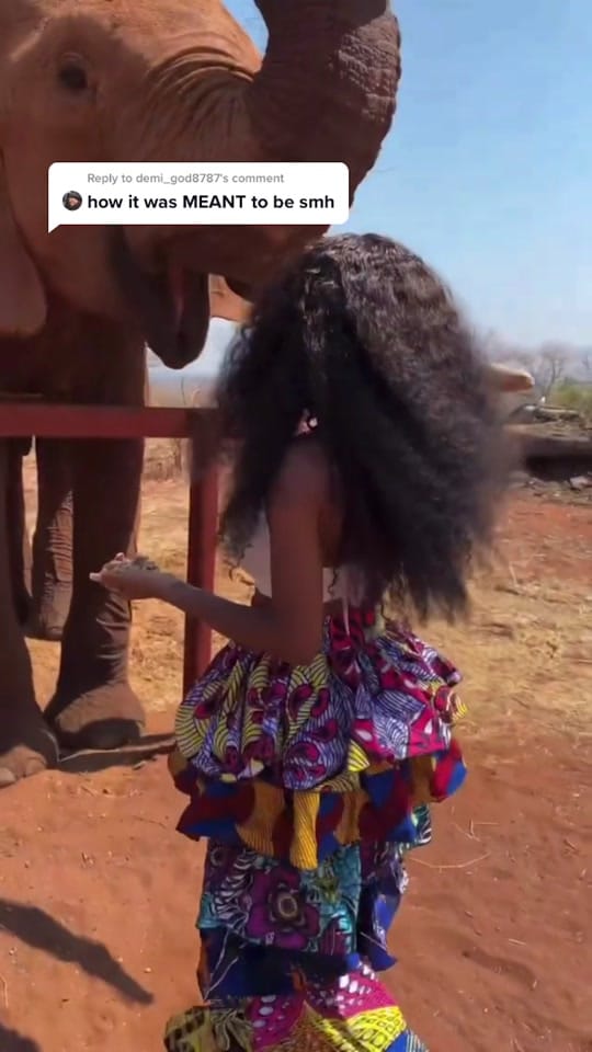 Post 8 by Chimzi on TikTok (video)