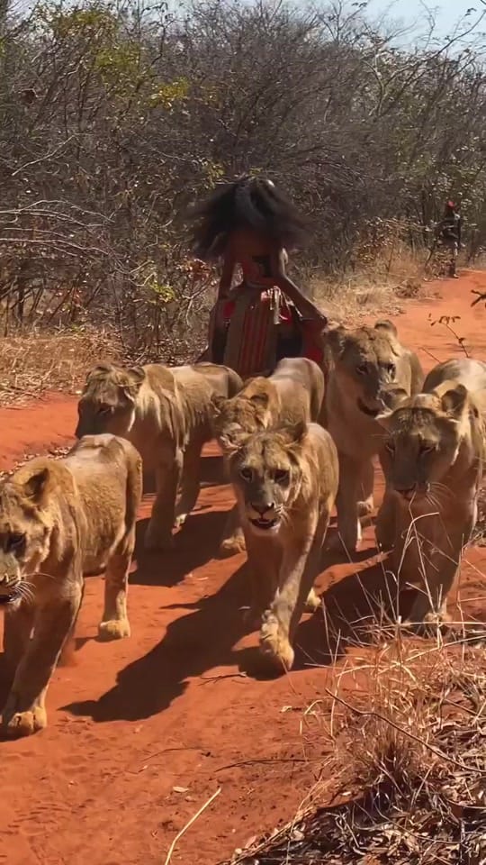 Post 10 by Chimzi on TikTok (video)