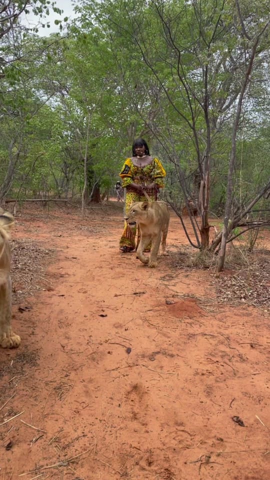Post 9 by Chimzi on TikTok (video)