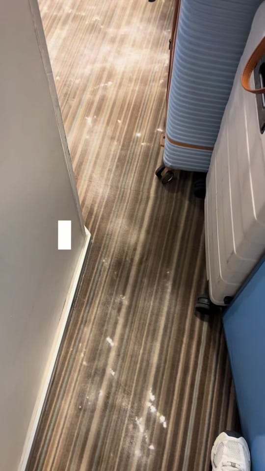 Post 9 by Kylee and Blair Travel on TikTok (video)