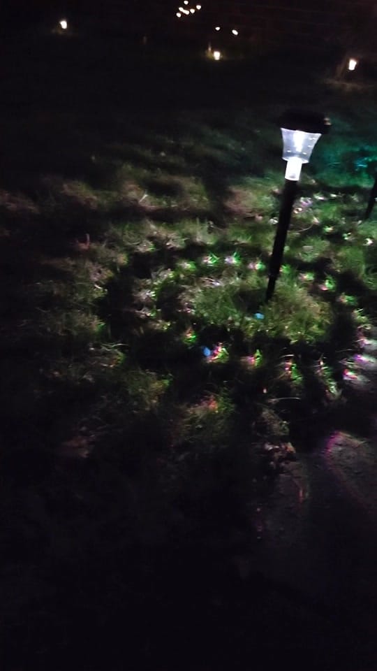 Post 10 by Jackie Junne 🗝 on TikTok (video)