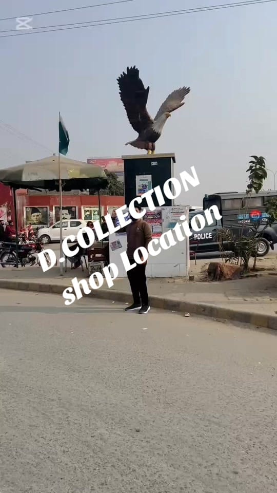 Post 10 by D.COLLECTION(OFFICIAL) on TikTok (video)