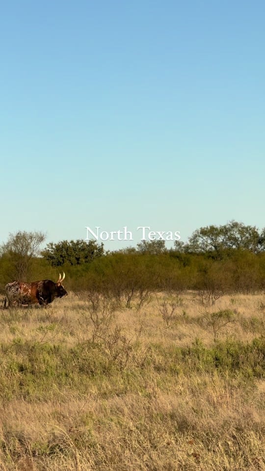Post 10 by Tara Stark on TikTok (video)