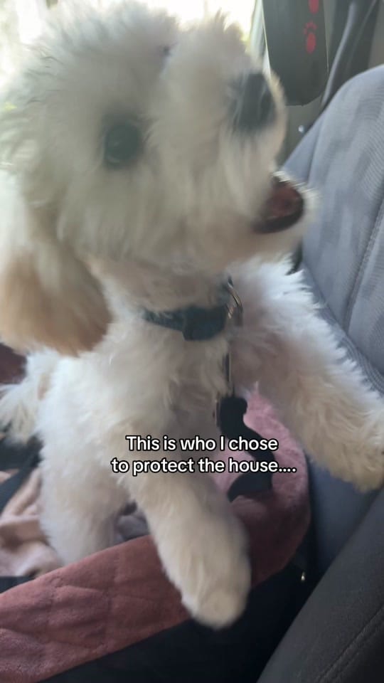 Post 5 by badgyalmua on TikTok (video)