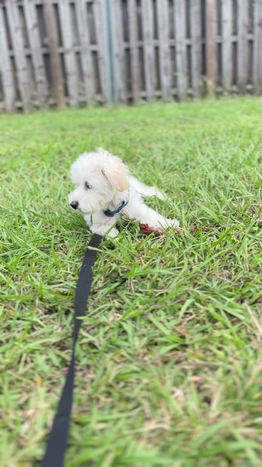 Post 7 by badgyalmua on TikTok (video)