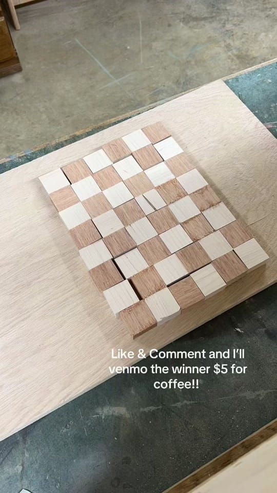 Post 1 by ninasprojects on TikTok (video)