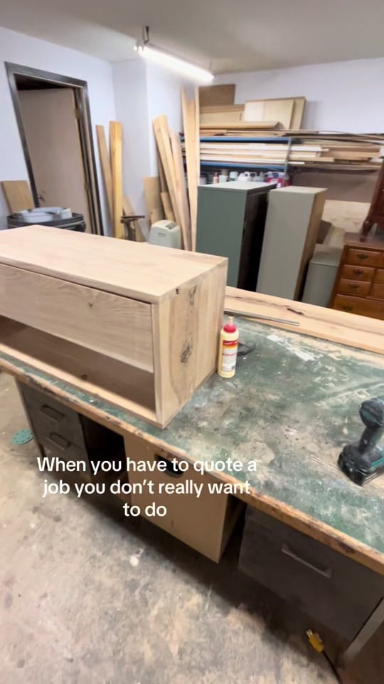 Post 5 by ninasprojects on TikTok (video)