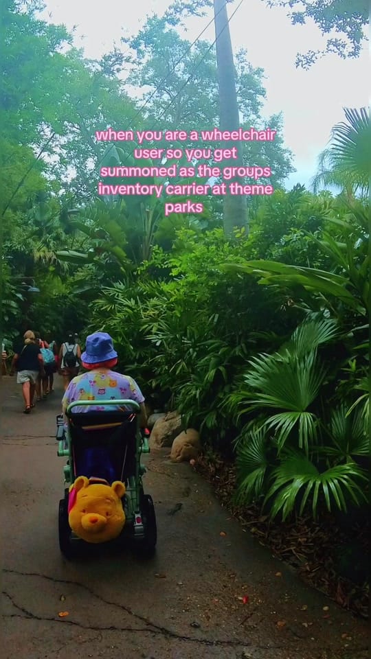 Post 9 by charlie♿️ disabled creator on TikTok (video)