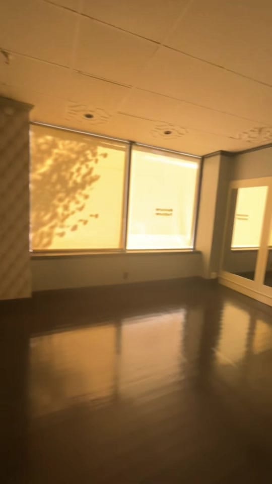 Post 3 by Eve Milan NY on TikTok (video)