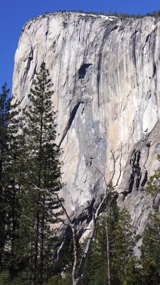 Post 10 by CA Through My Lens on TikTok (video)