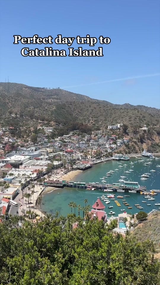 Post 8 by CA Through My Lens on TikTok (video)