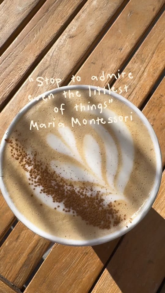 Post 4 by SCARLET•San Diego Mom•Traveler on TikTok (video)