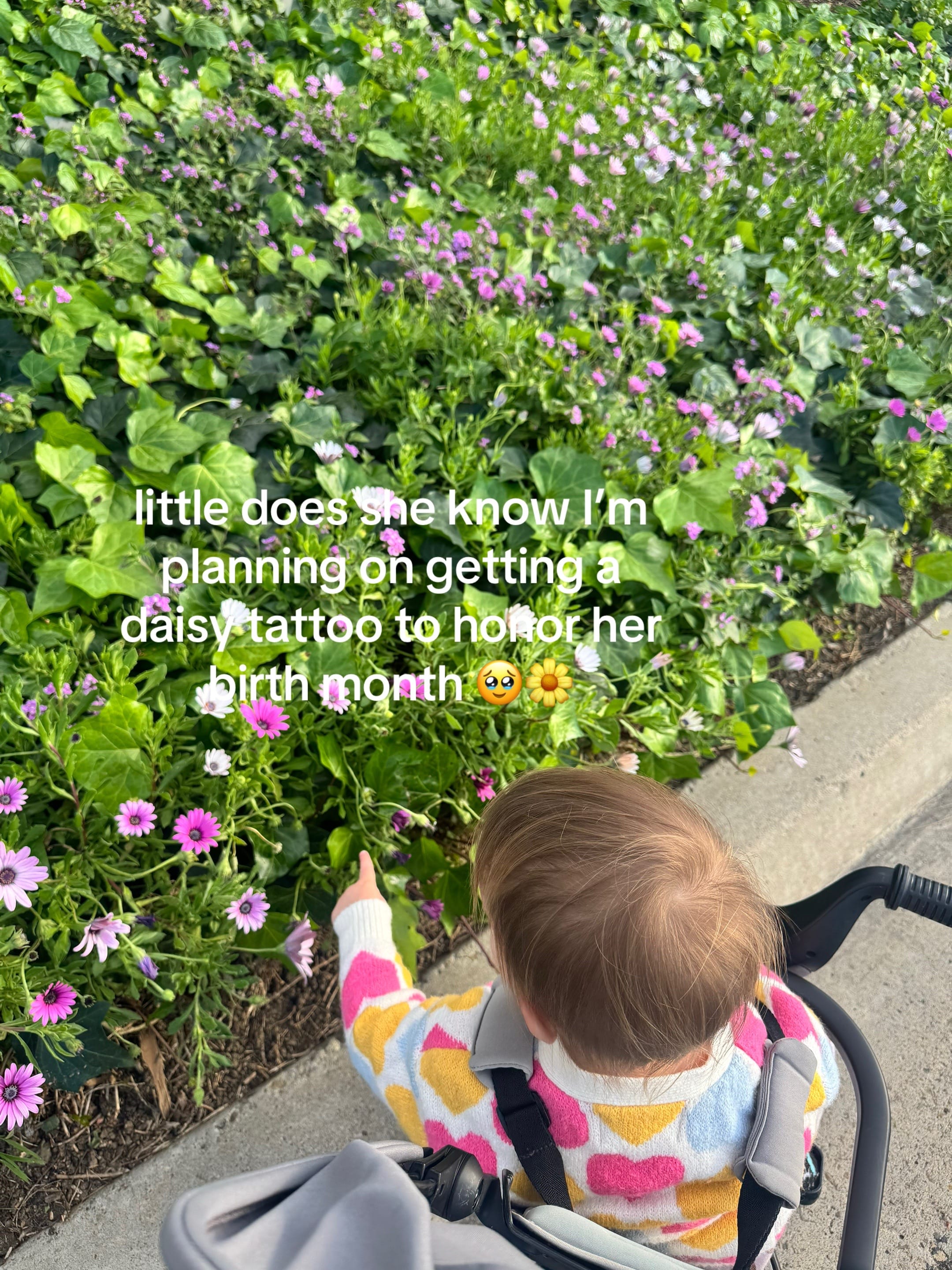 Post 7 by SCARLET•San Diego Mom•Traveler on TikTok (video)