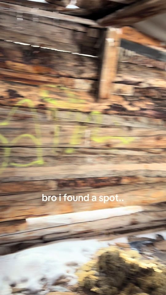 Post 5 by peaktyler on TikTok (video)