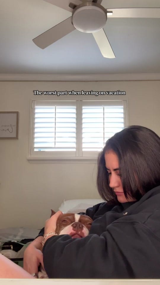 Post 6 by emilyjimeno on TikTok (video)