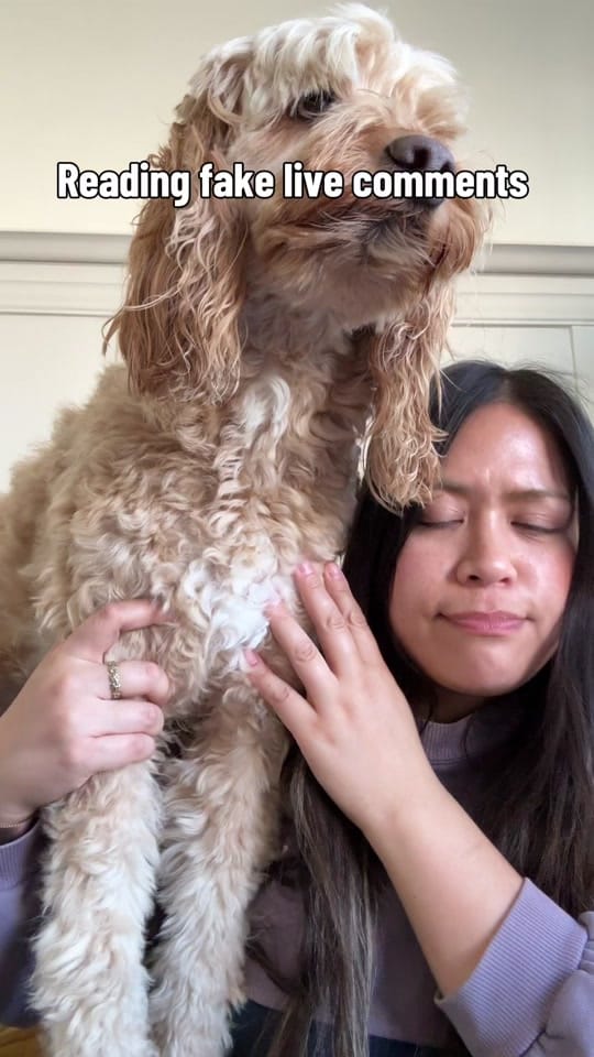 Post 8 by Rachel | San Francisco 🫶 on TikTok (video)