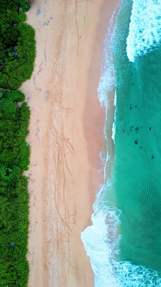 Post 4 by Alex McGregor on TikTok (video)