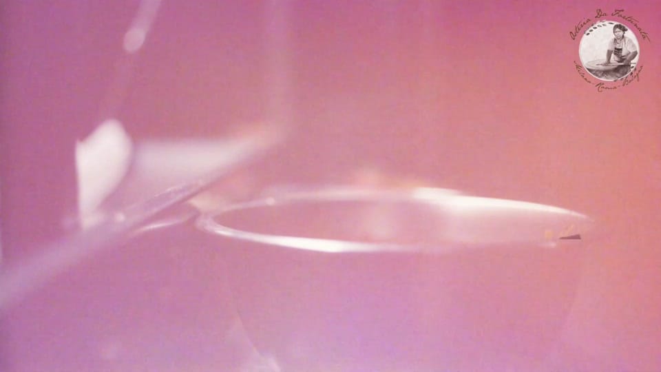Post 6 by osteriadafortunata on TikTok (video)