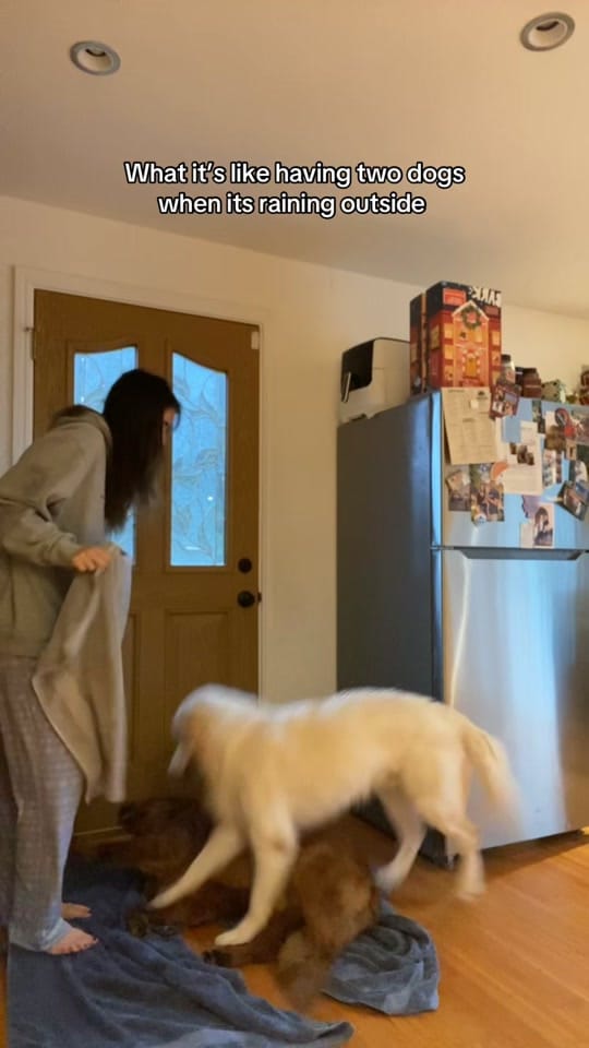 Post 2 by lexiraegerardi on TikTok (video)