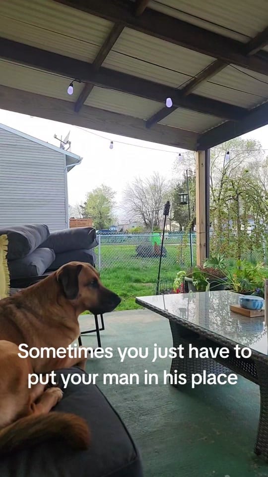 Post 10 by Jenna on TikTok (video)