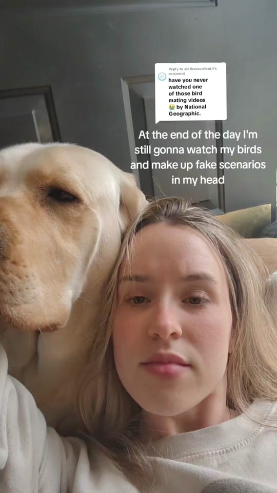 Post 8 by Jenna on TikTok (video)