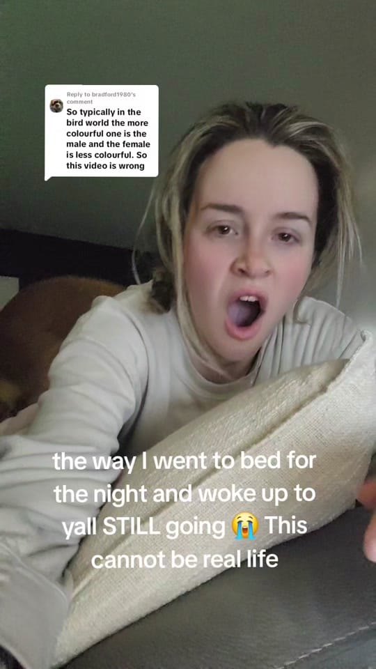 Post 7 by Jenna on TikTok (video)