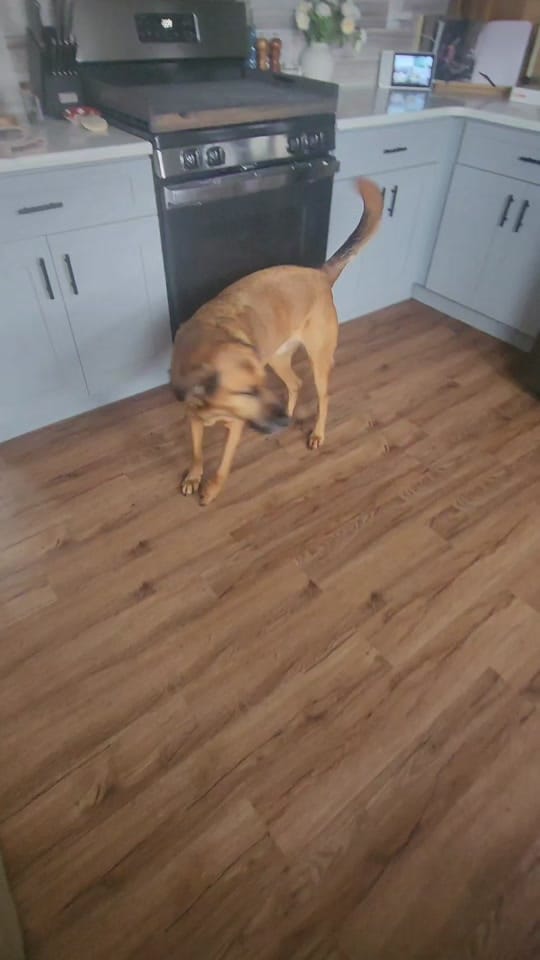 Post 9 by Jenna on TikTok (video)
