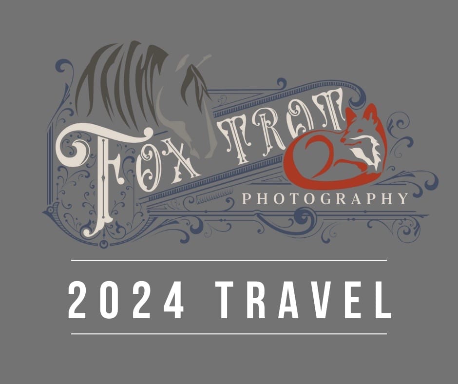 Post 9 by Maureen | Equine Photographer on TikTok (video)