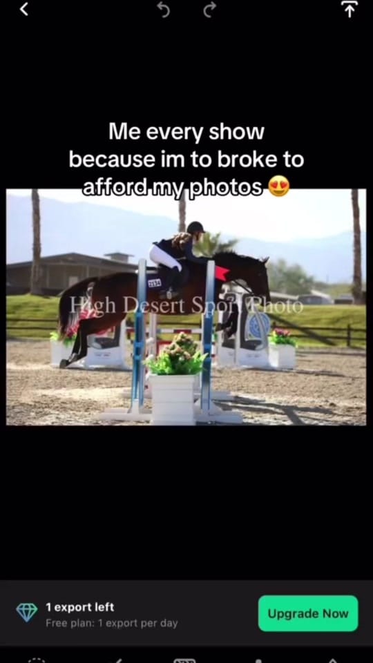 Post 7 by Maureen | Equine Photographer on TikTok (video)