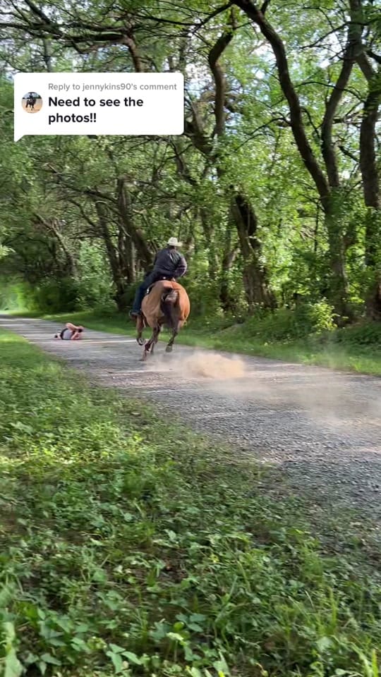 Post 10 by Maureen | Equine Photographer on TikTok (video)