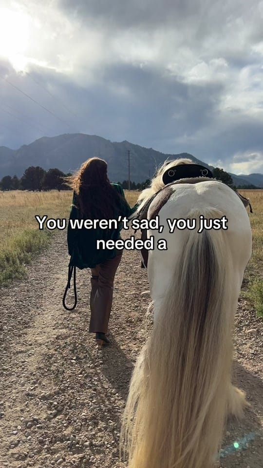 Post 8 by Maureen | Equine Photographer on TikTok (video)