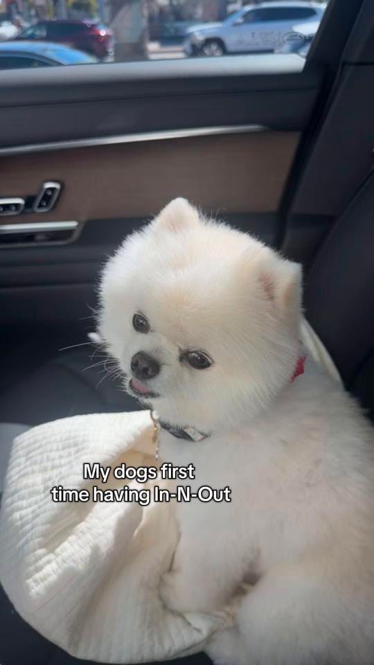 Post 2 by Jada on TikTok (video)