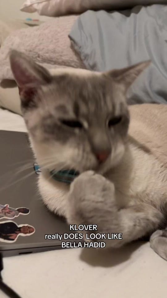 Post 7 by BIG LEGEND on TikTok (video)
