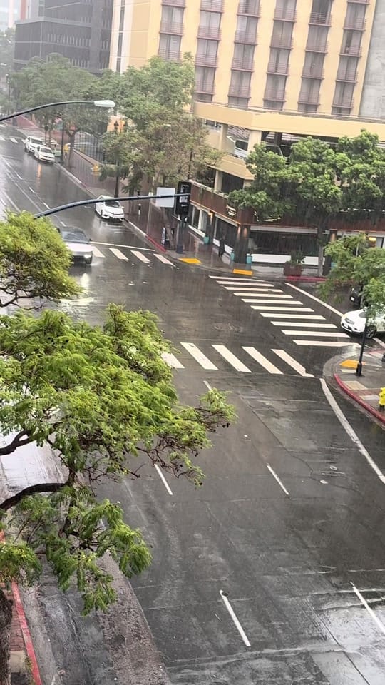Post 4 by The Best of San Diego on TikTok (video)
