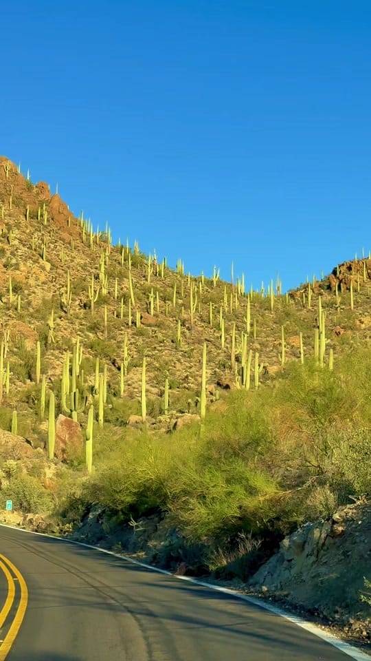 Post 4 by Mary | Travel & Food Tips ✈️ on TikTok (video)