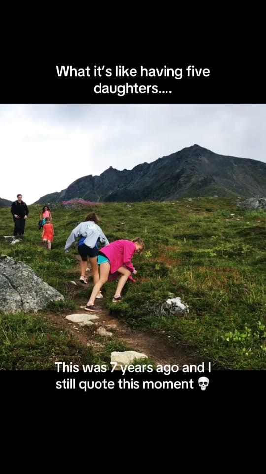 Post 5 by BookPusherSteph on TikTok (video)