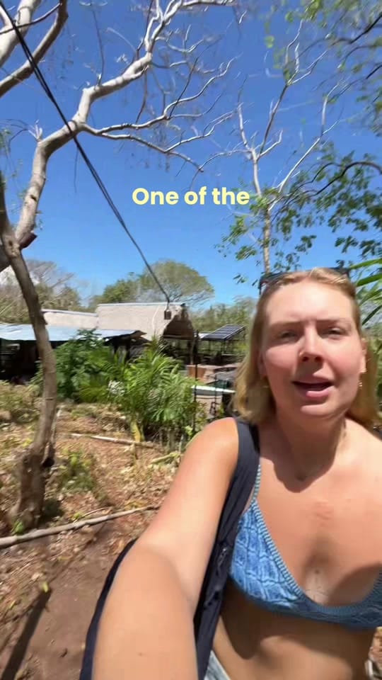 Post 3 by Jemma’s travels ✈️ on TikTok (video)