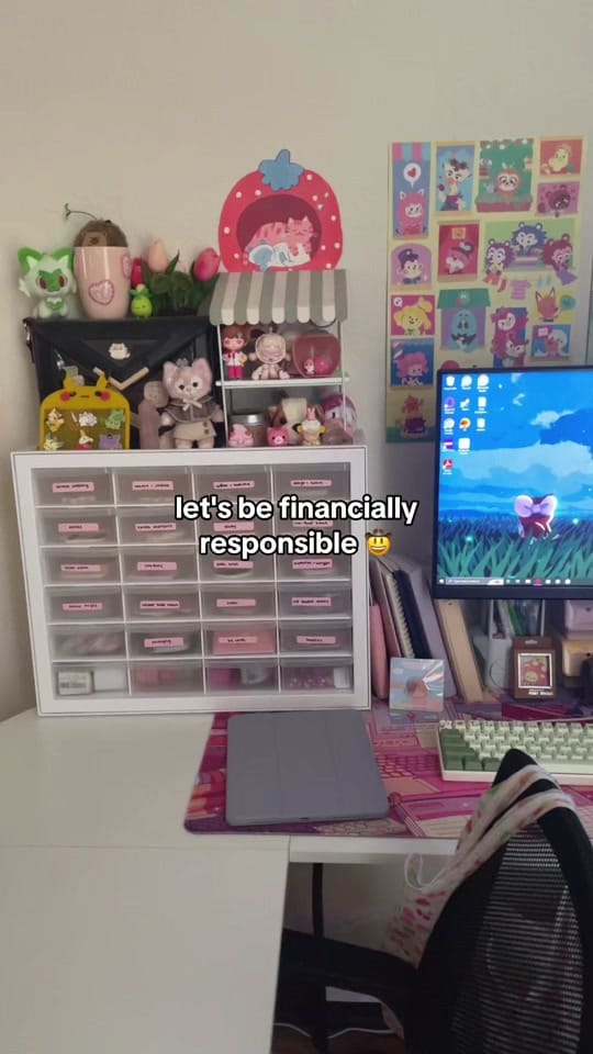 Post 5 by jocelyn 🥪 on TikTok (video)
