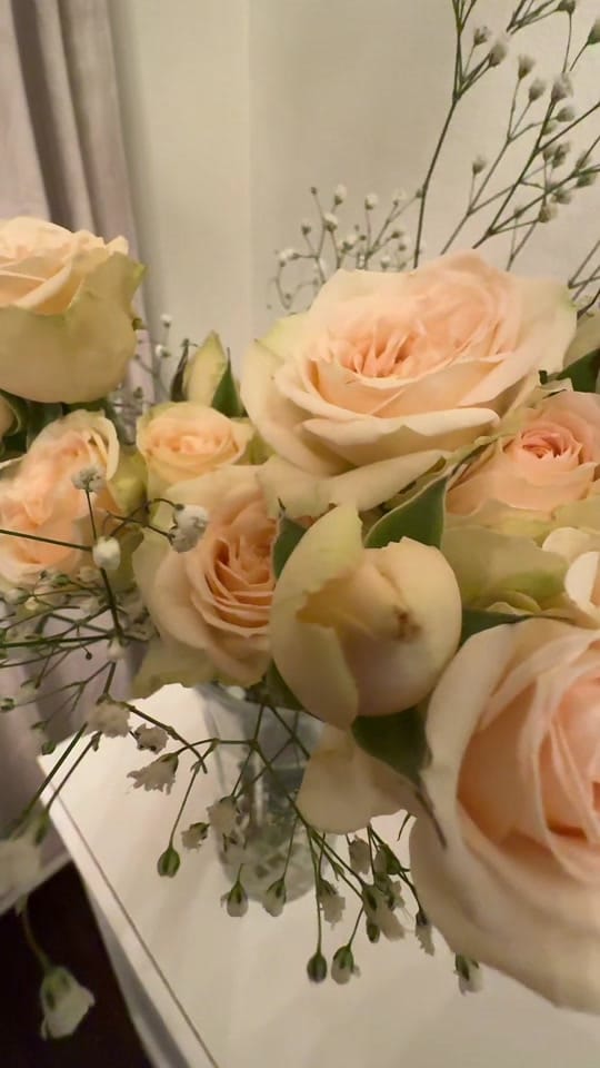 Post 3 by geenaazami on TikTok (video)