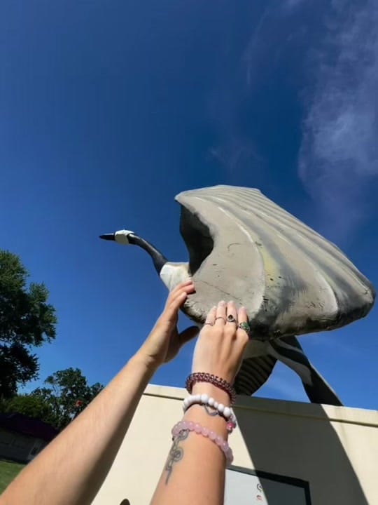 Post 6 by lizzie in indy on TikTok (video)