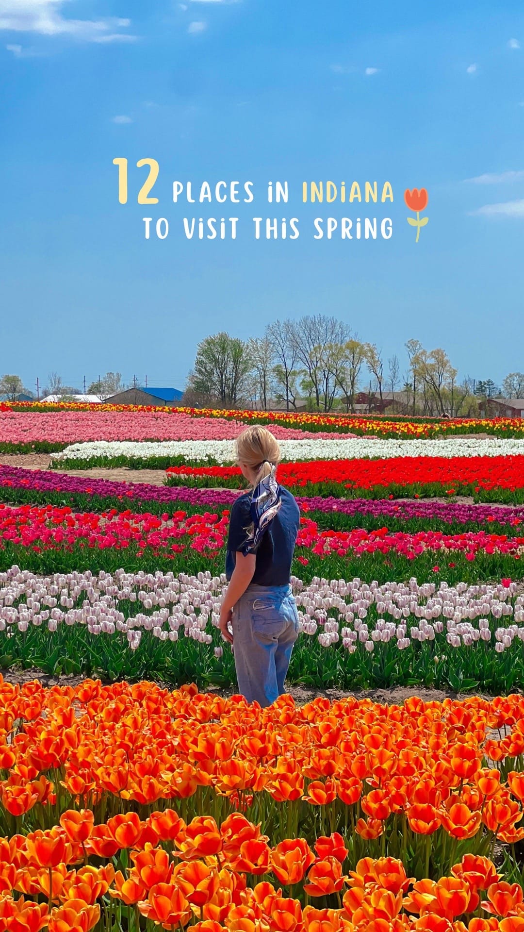 Post 6 by Indiana Hannah on TikTok (video)