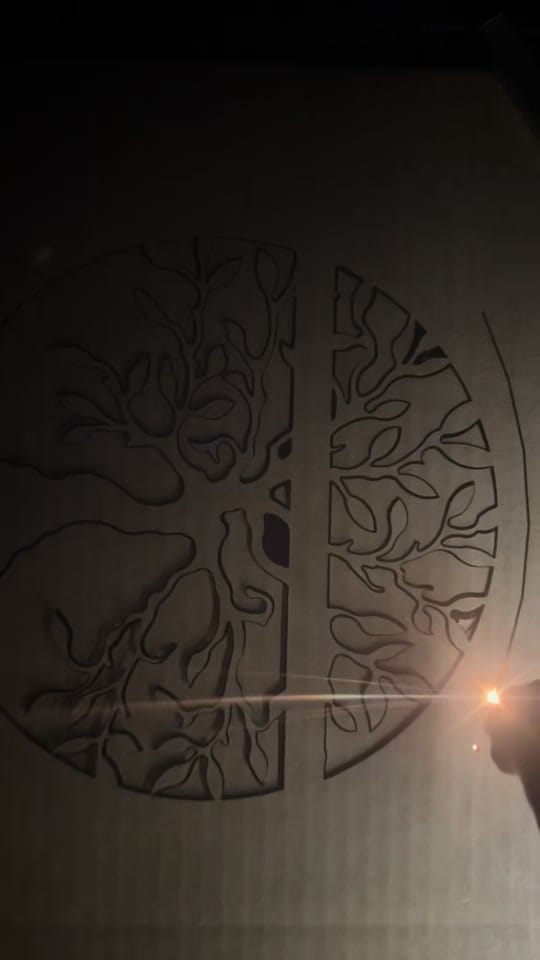 Post 3 by willslifebelowh2o on TikTok (video)