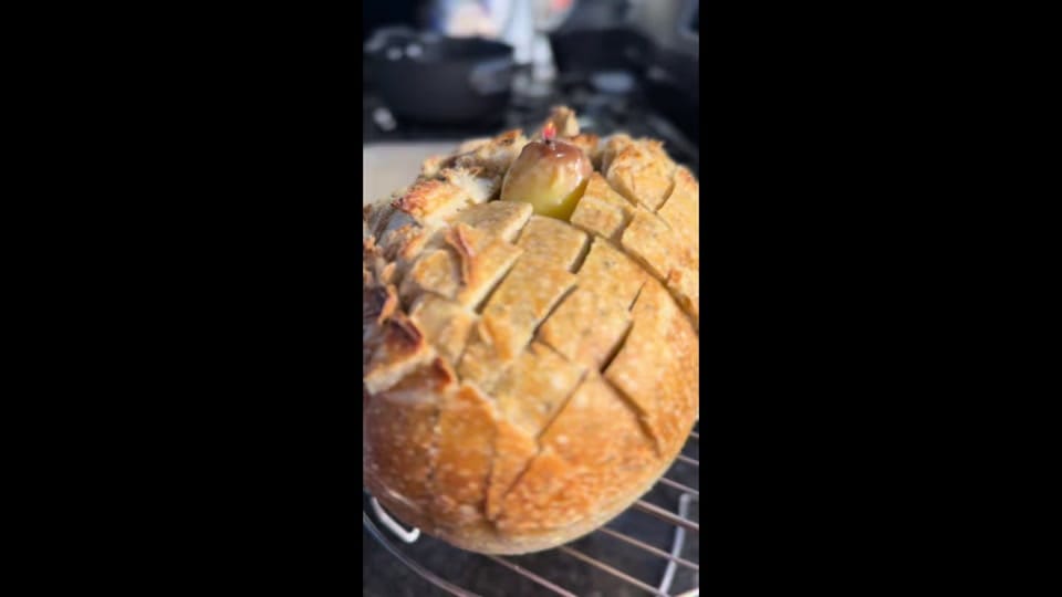 Post 2 by willslifebelowh2o on TikTok (video)