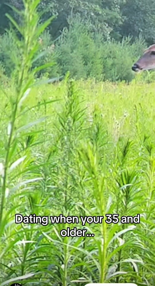 Post 1 by willslifebelowh2o on TikTok (video)