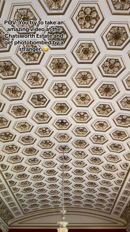 Post 3 by Flowersfall Designs on TikTok (video)