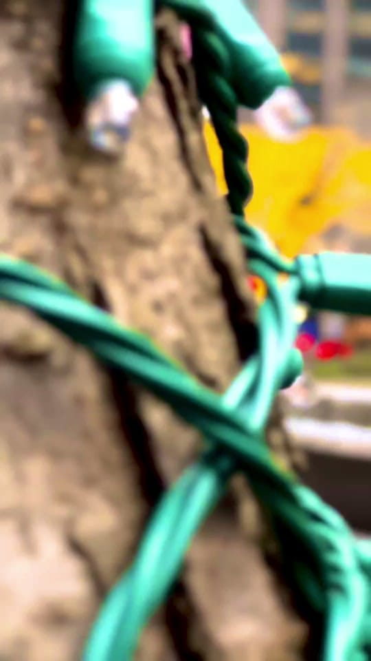 Post 10 by NYC.BR  on TikTok (video)