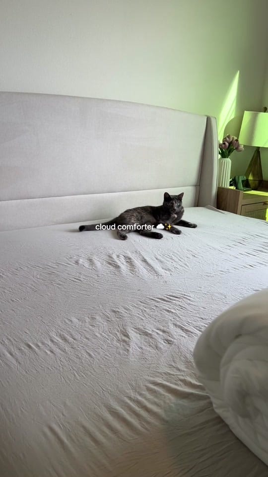 Post 10 by Brittany 🌸🫧 on TikTok (video)