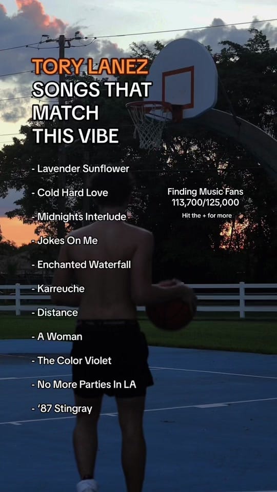 Post 10 by ari on TikTok (video)